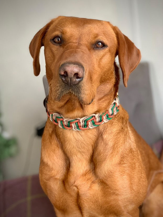 The Basildon Paracord Collar - Custom