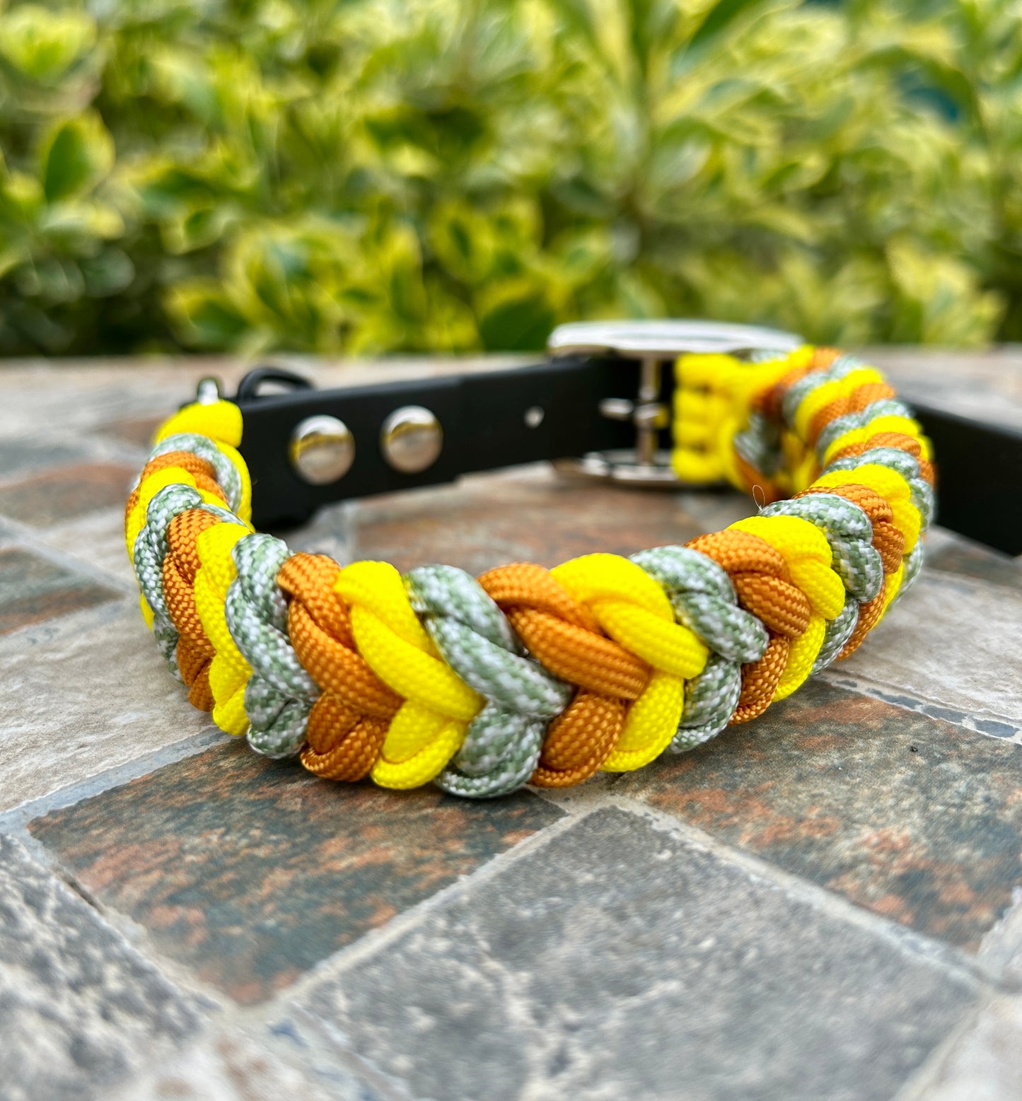 The Bramshill Collar - Sunflower