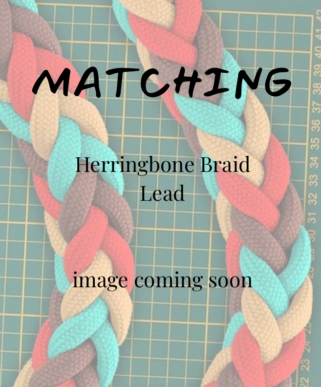 Colorful herringbone braid lead with text indicating an image is coming soon on a grid background.