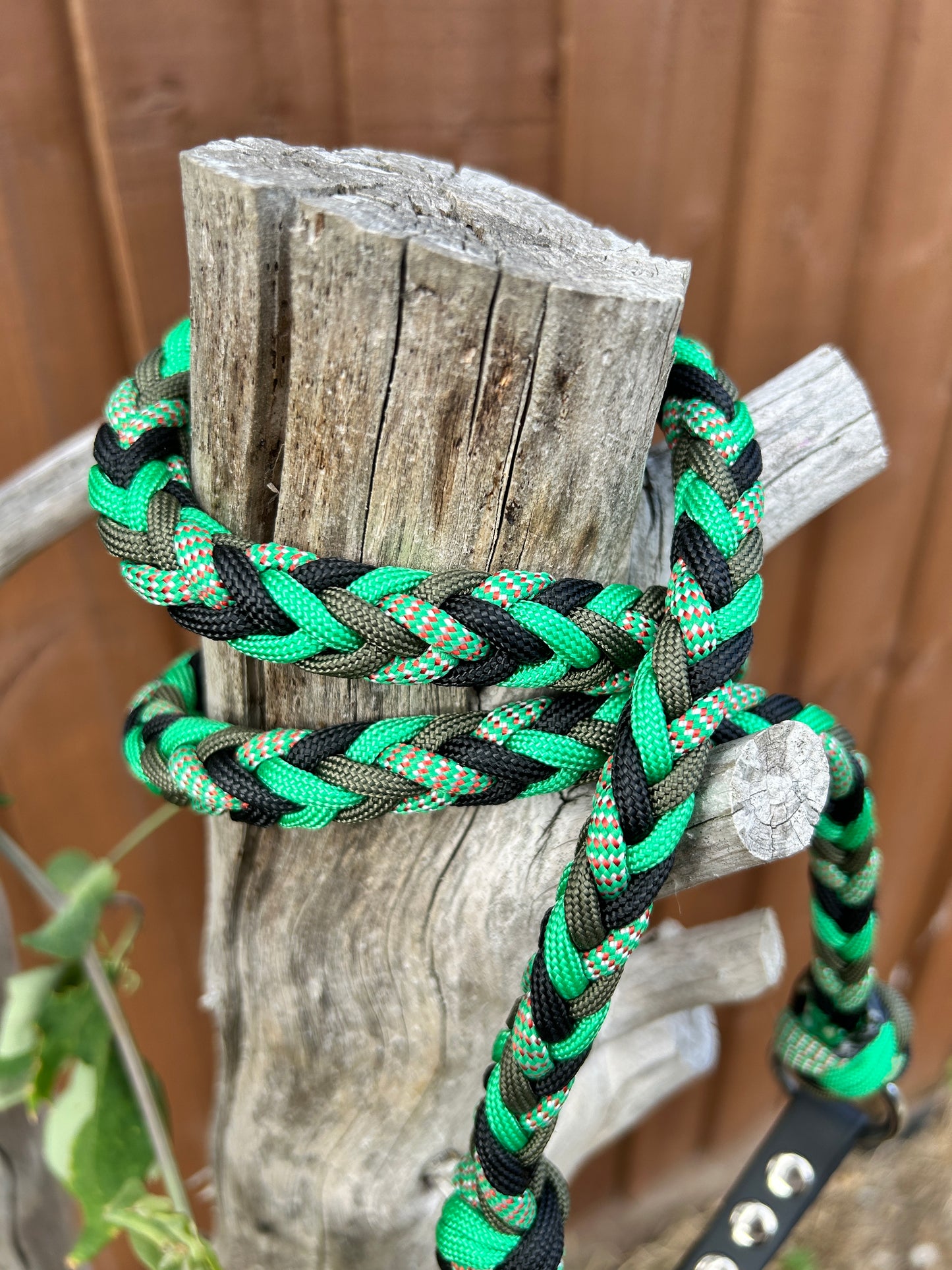 Braided green and black paracord lead tied around a wooden post with a blurred natural background