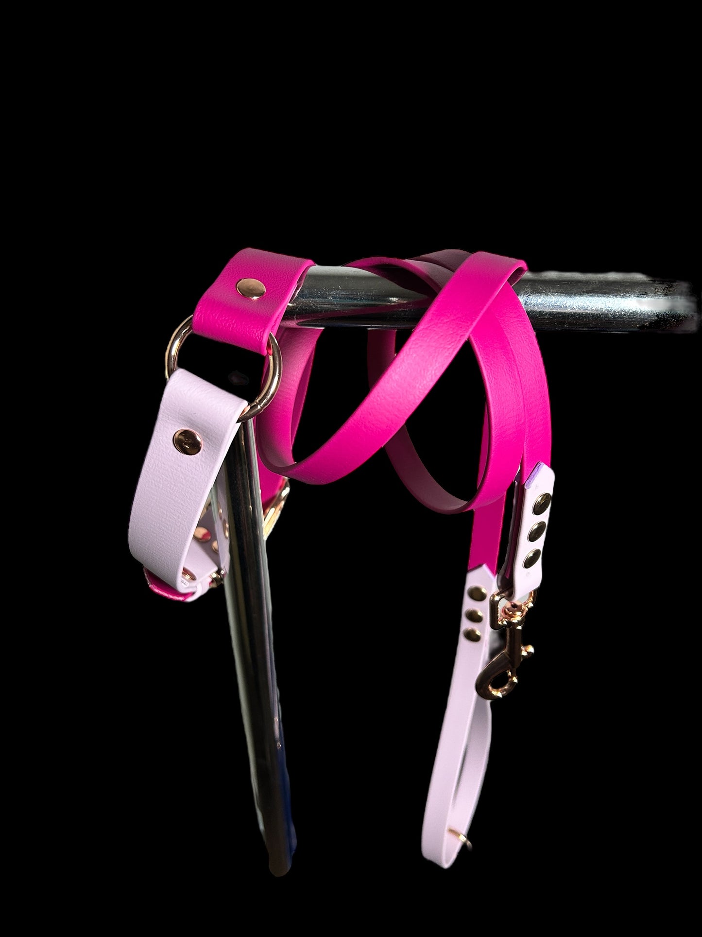 Colour Block Collar - 25mm Wide