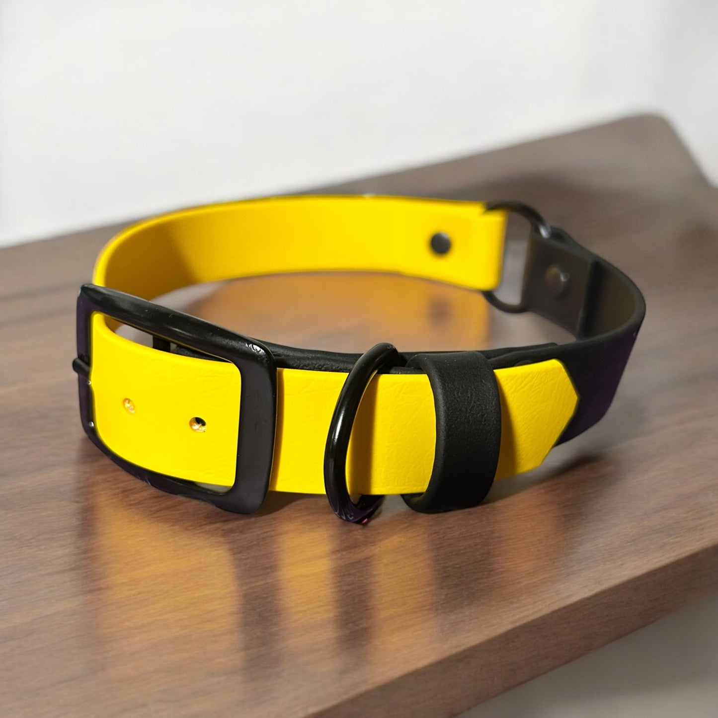 Colour Block Collar - 25mm Wide