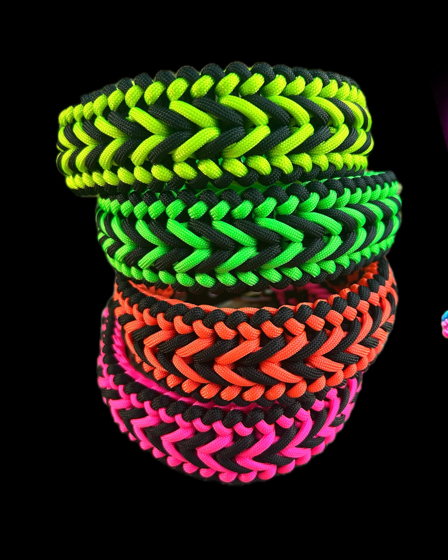The Barkham Collar - Neon