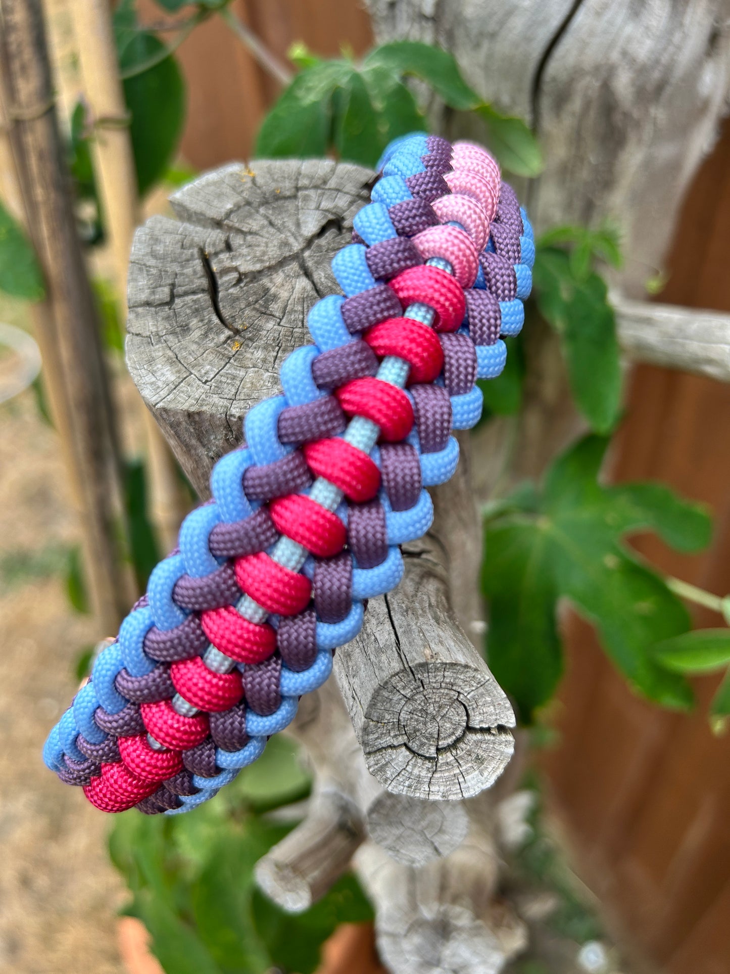 The Ridgeway Paracord Collar - Custom