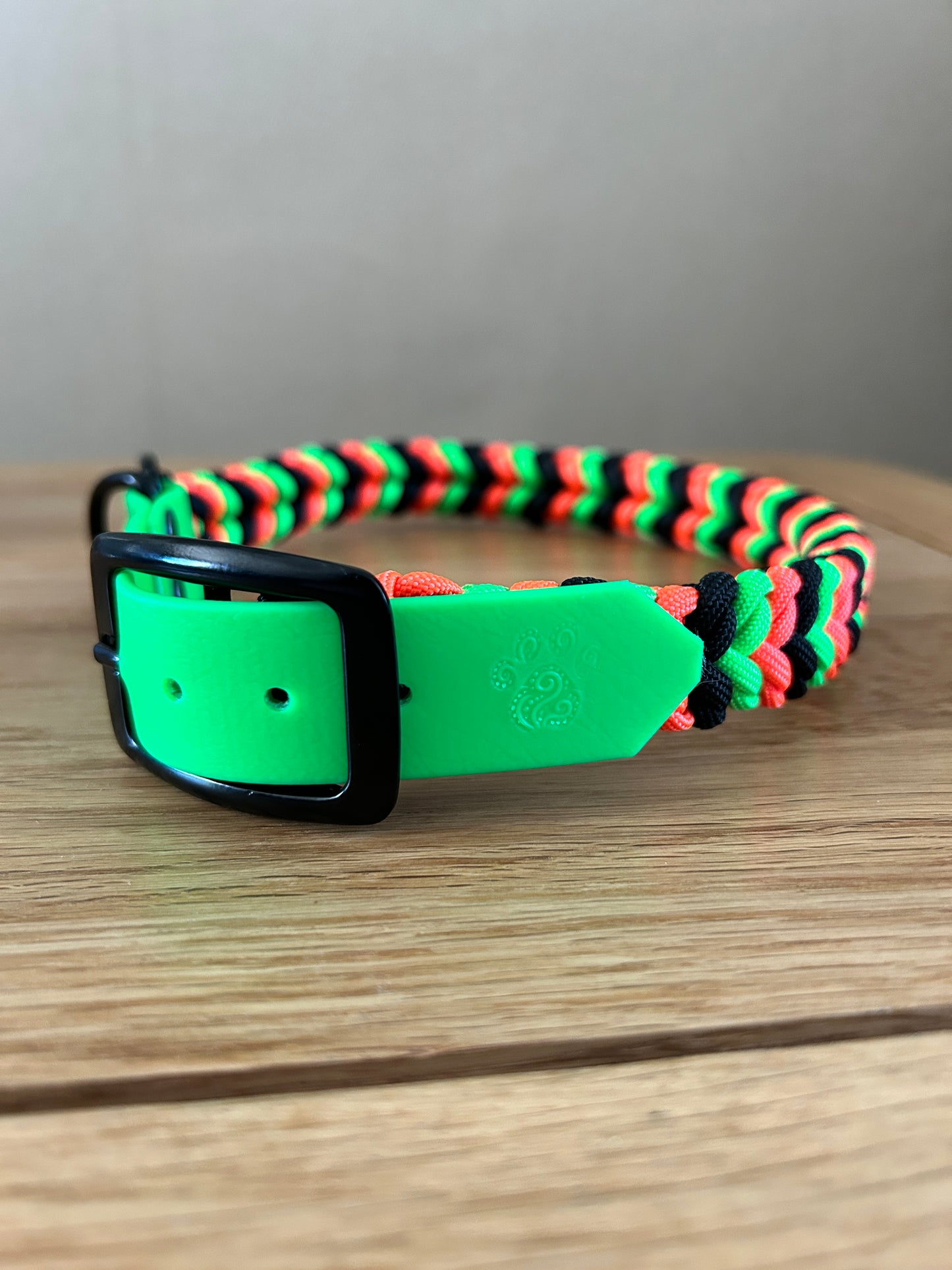 neon paracord collar showing logo