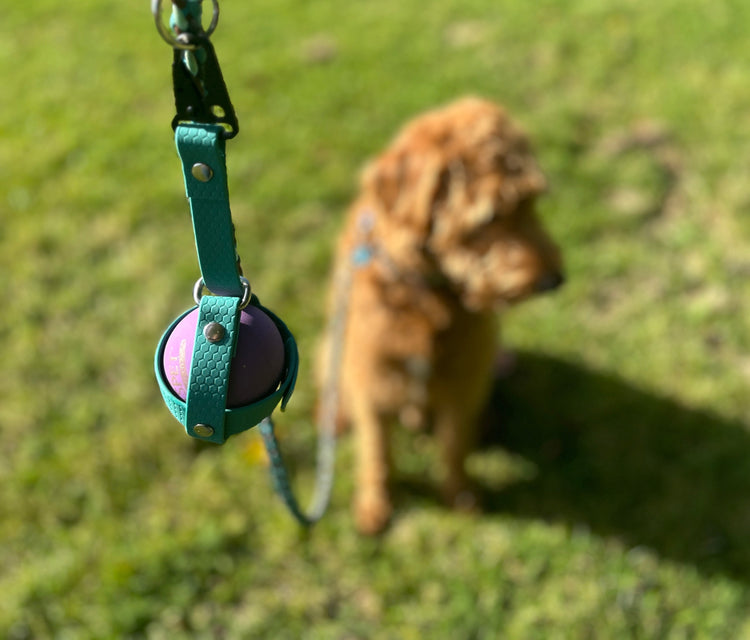 Hexa Ball Holders