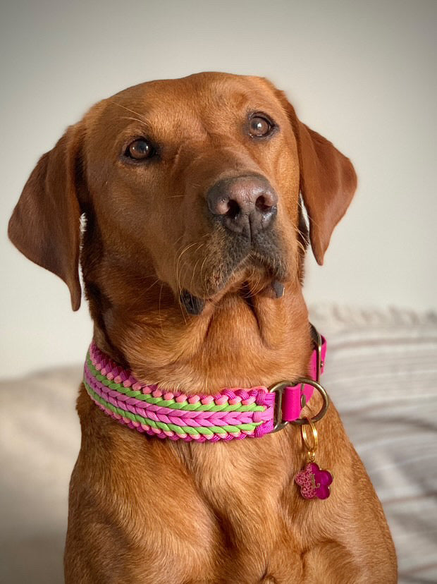 The Burghfield Paracord Collar - Custom