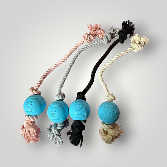 Cotton Rope Tug