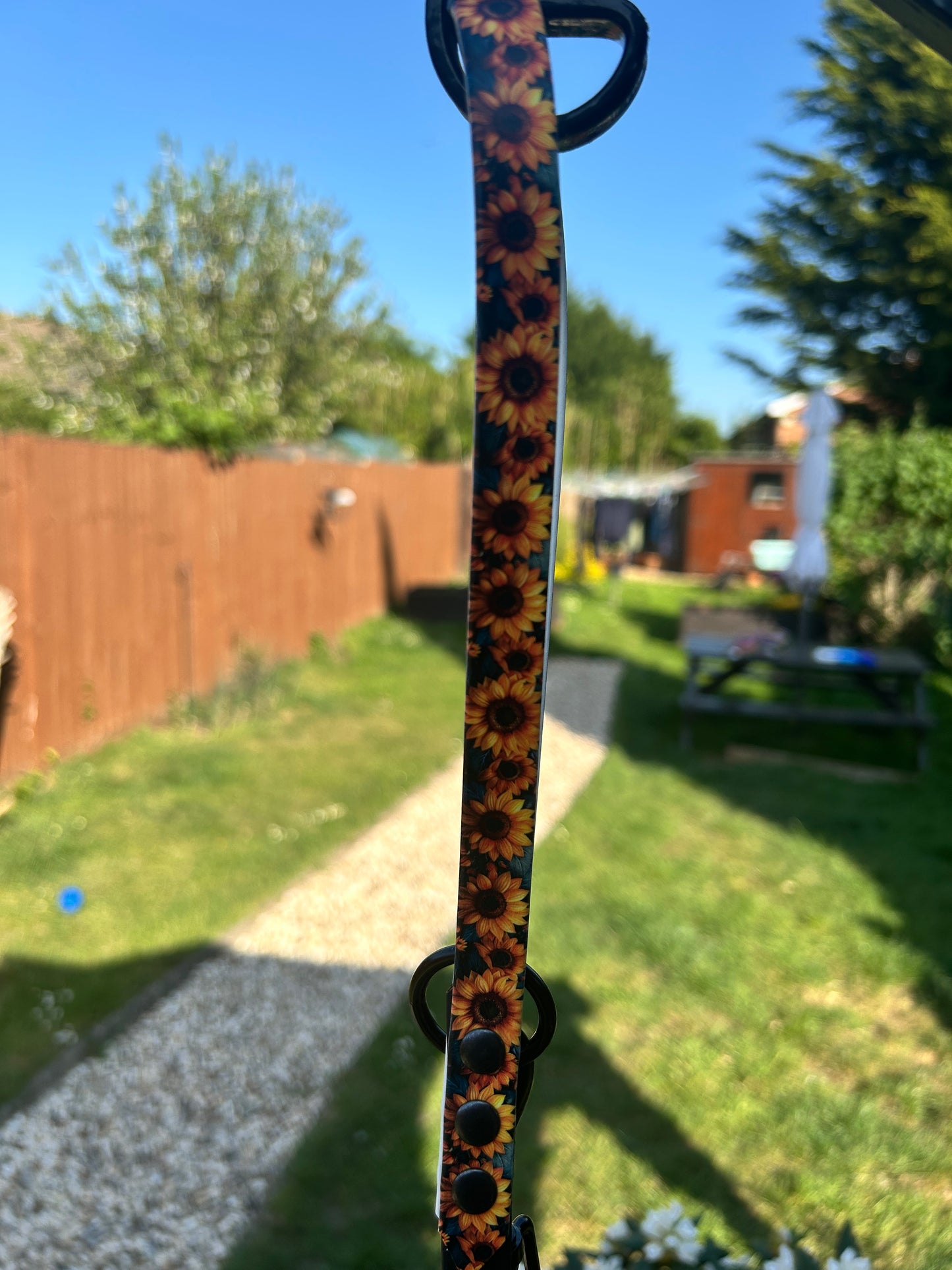 Sunflower Lead 1 metre