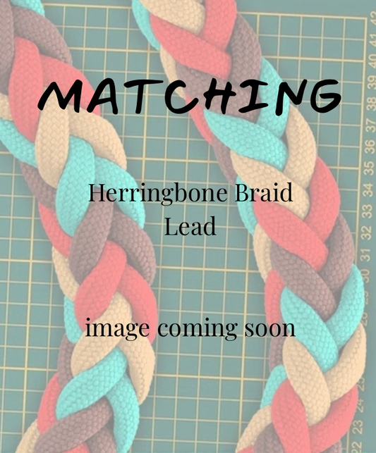 Colorful herringbone braid lead with text indicating an image is coming soon on a grid background.