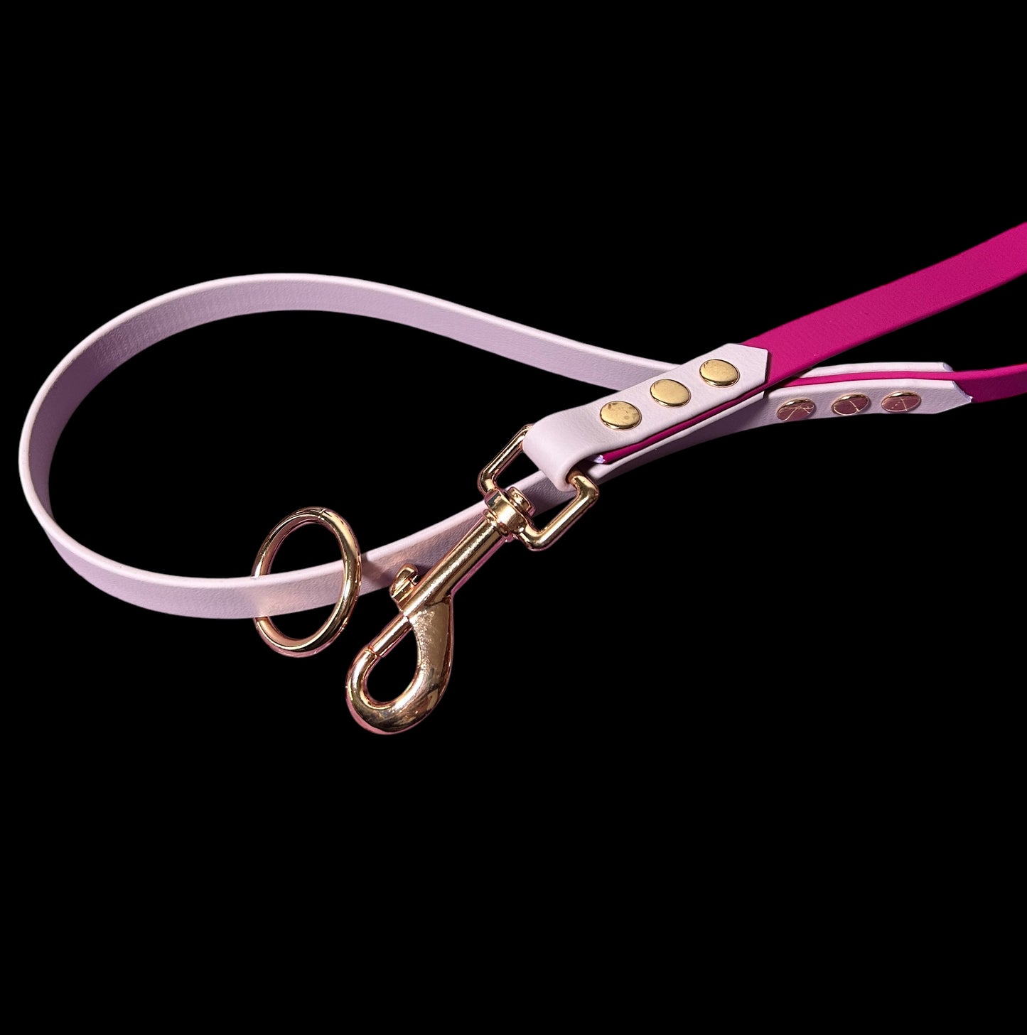 Colour Block Waterproof Lead - 16mm Wide