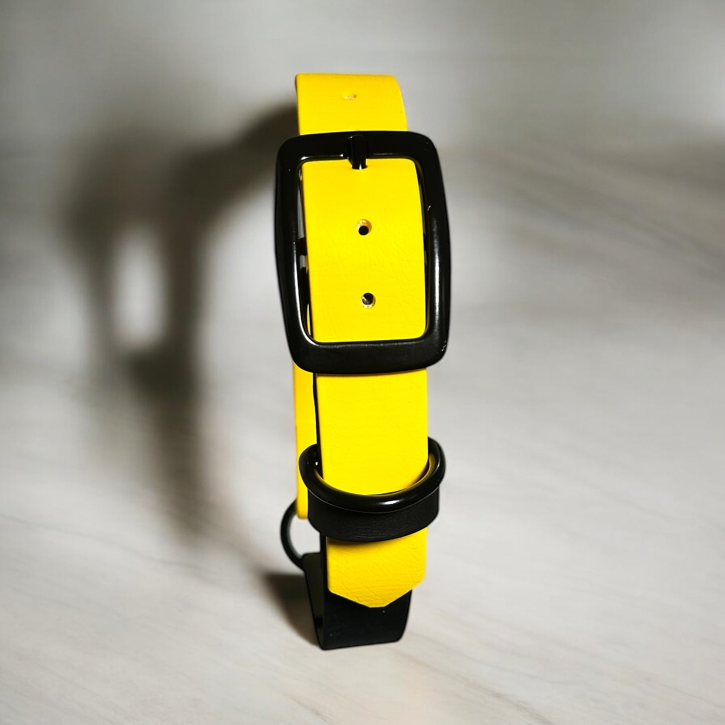 Colour Block Collar - 25mm Wide