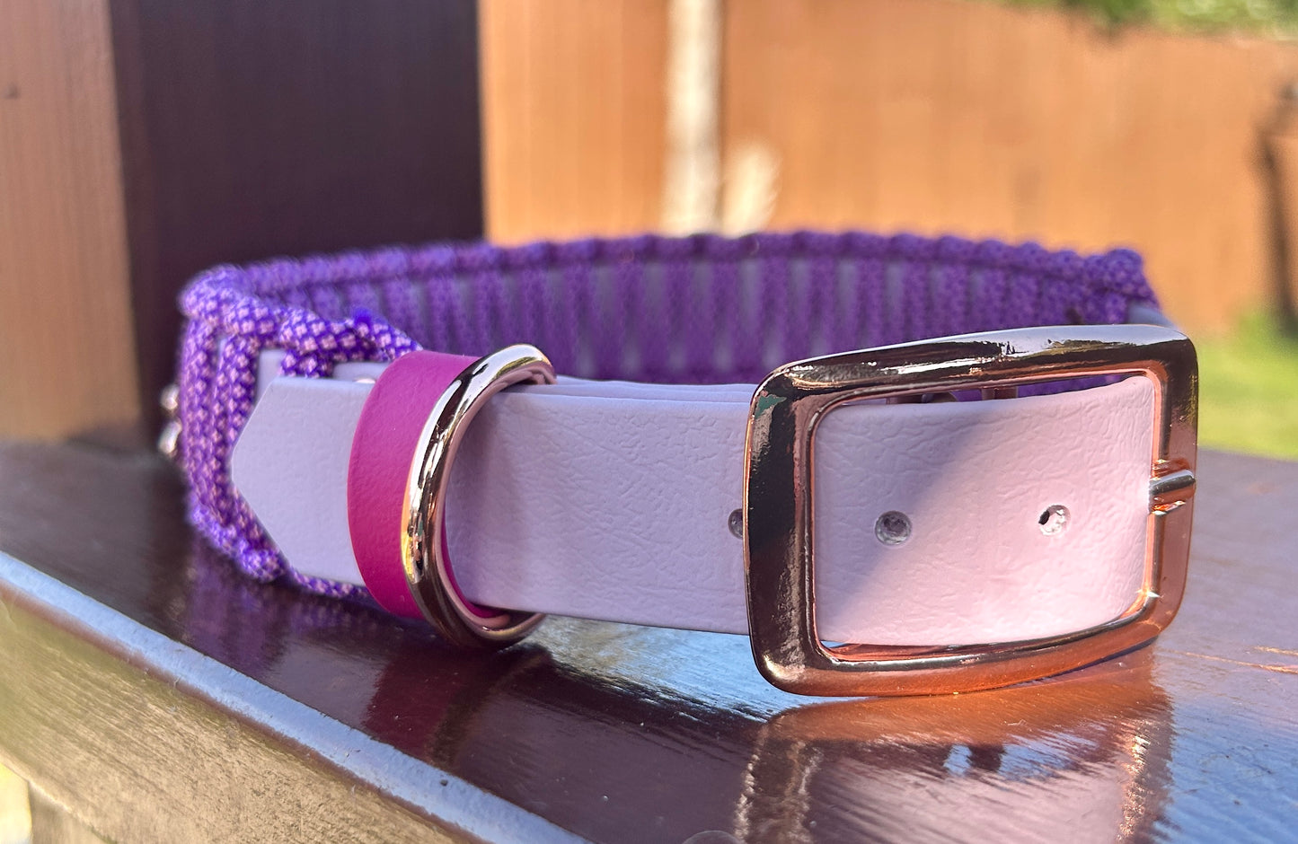 Paracord wrapped Biothane Collar - 41cm-49cm