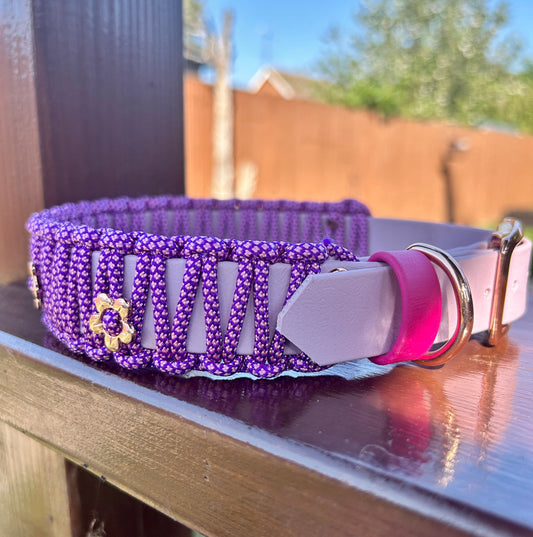 Paracord wrapped Biothane Collar - 41cm-49cm