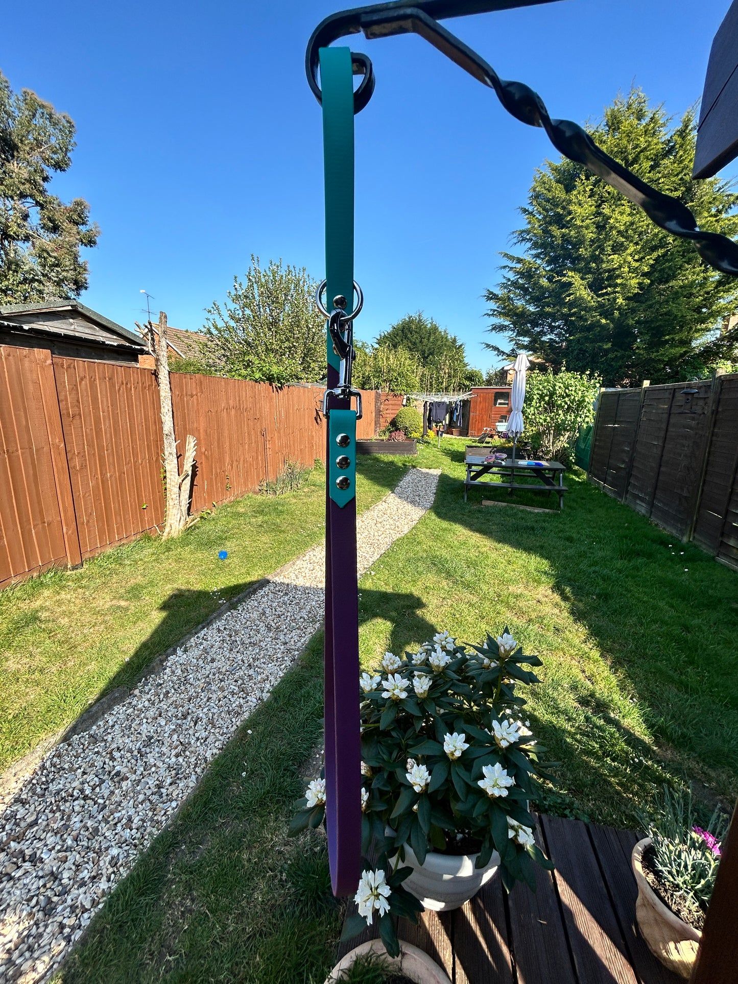 Colour Block Lead - 19mm wide - 116cm long