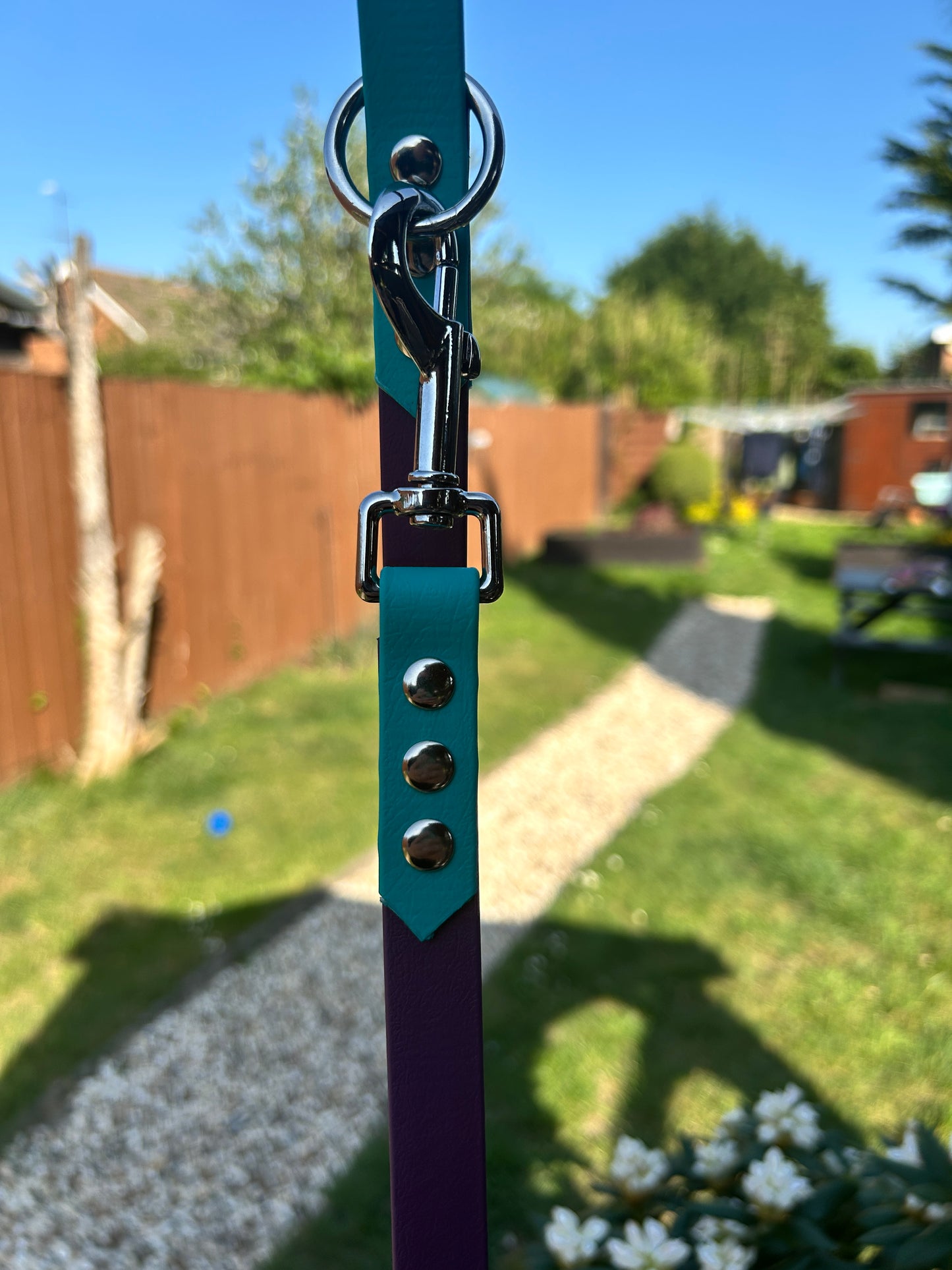 Colour Block Lead - 19mm wide - 116cm long