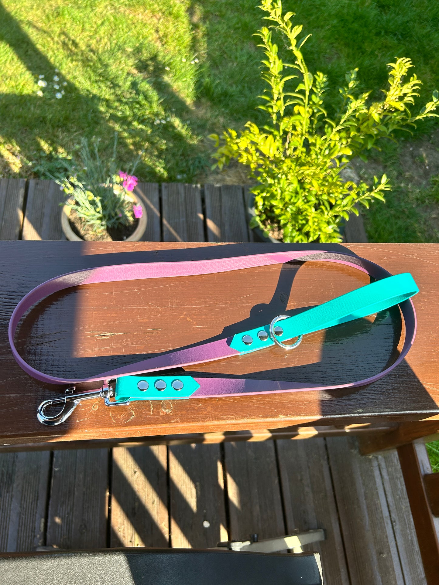 Colour Block Lead - 19mm wide - 116cm long
