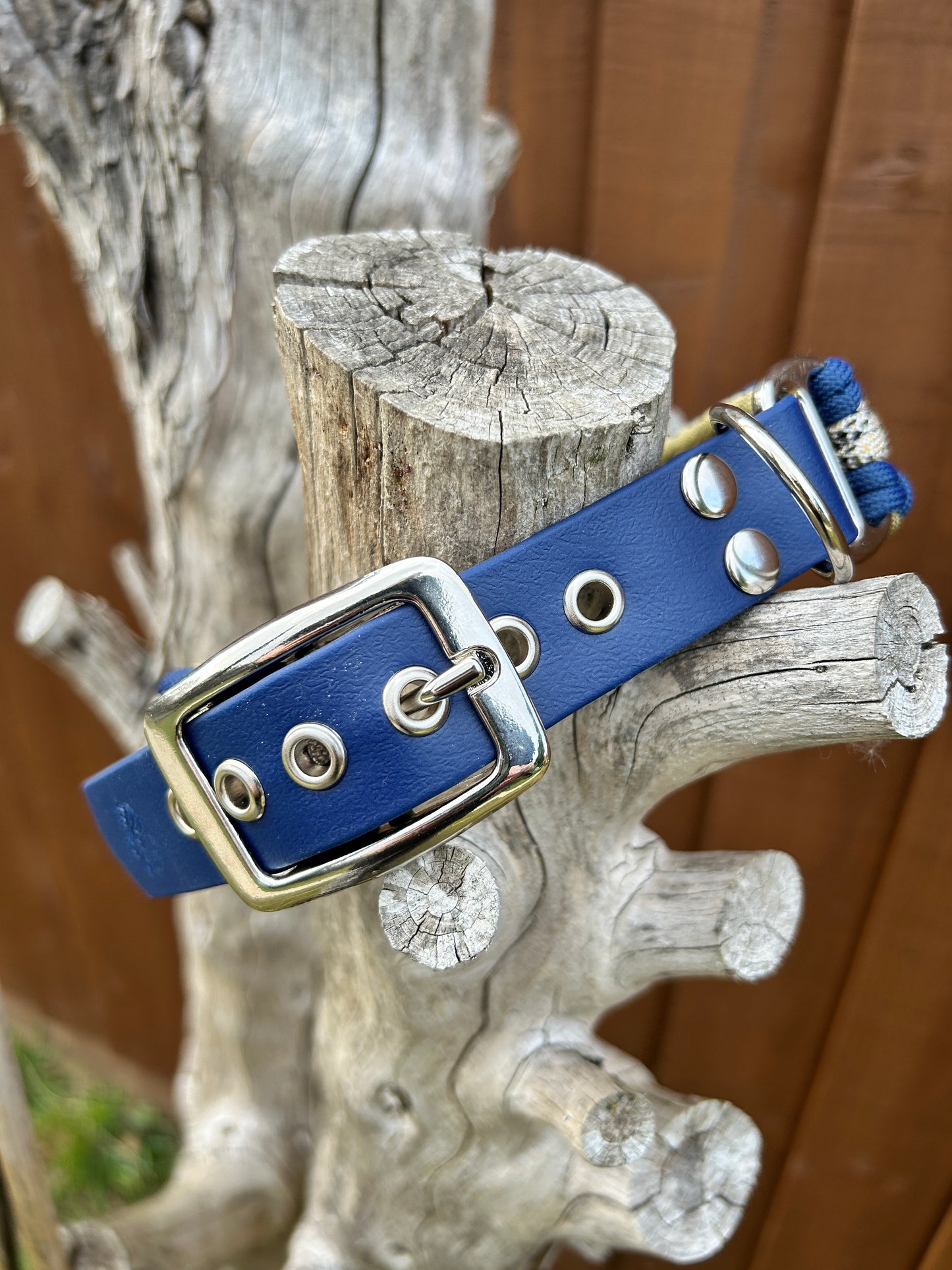 The Barkham Collar - Golden Age