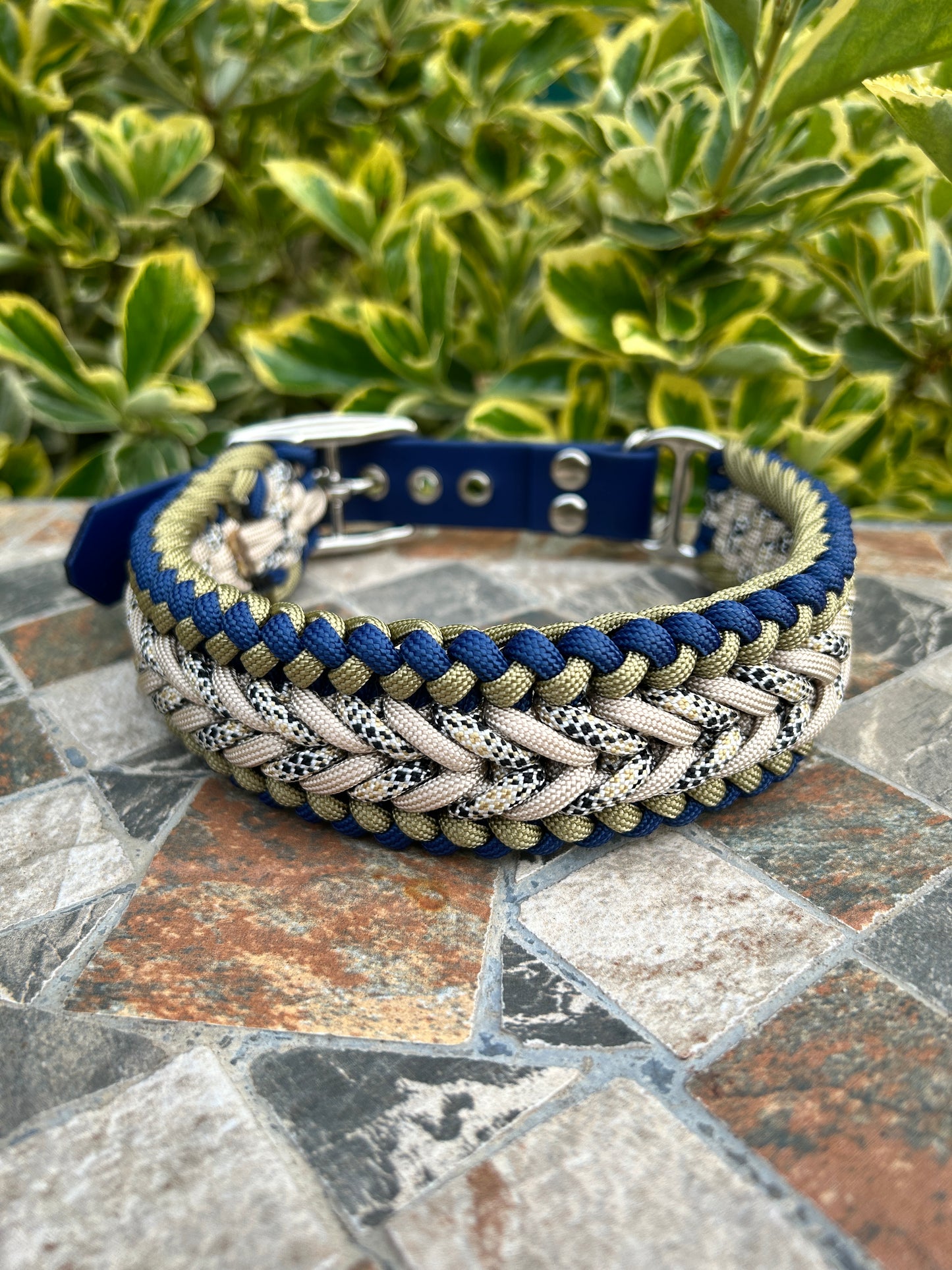 The Barkham Collar - Golden Age