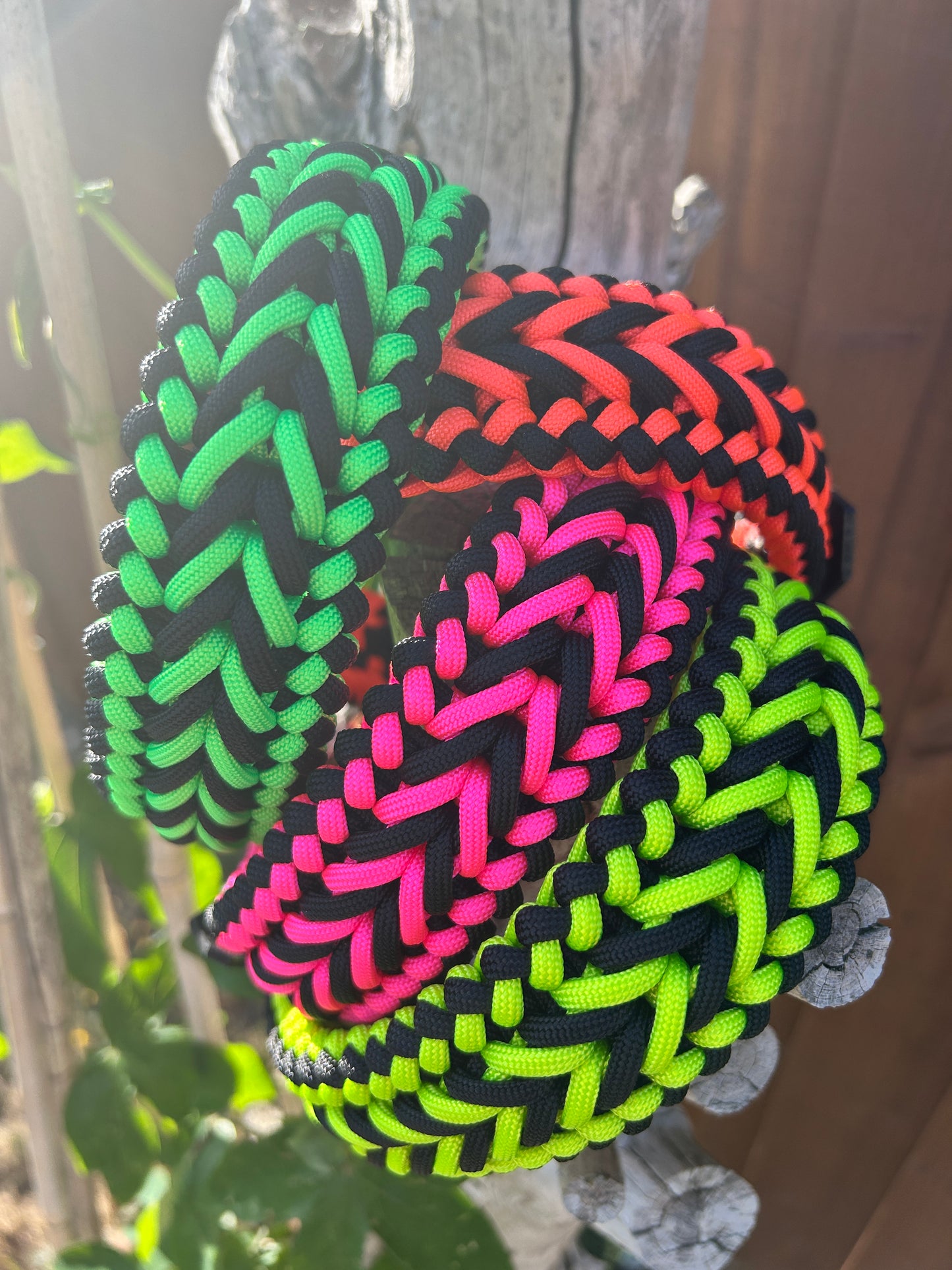 The Barkham Collar - Neon