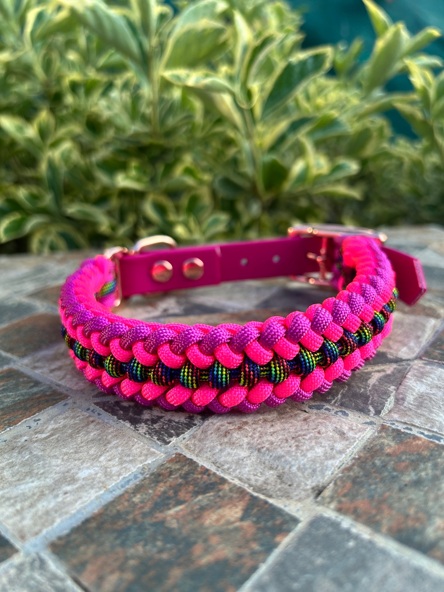 The Ridgeway Collar - Rainbow Bright
