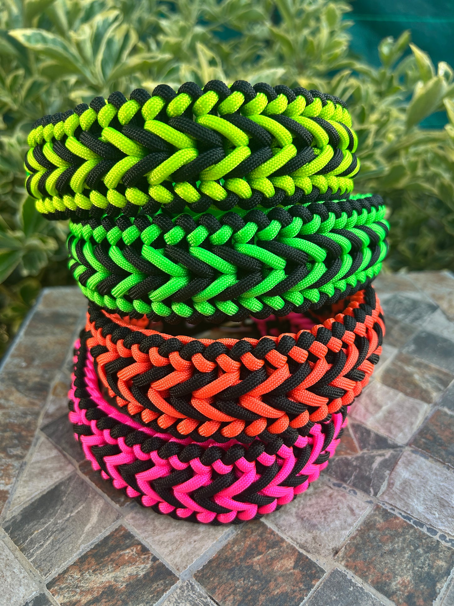 The Barkham Collar - Neon