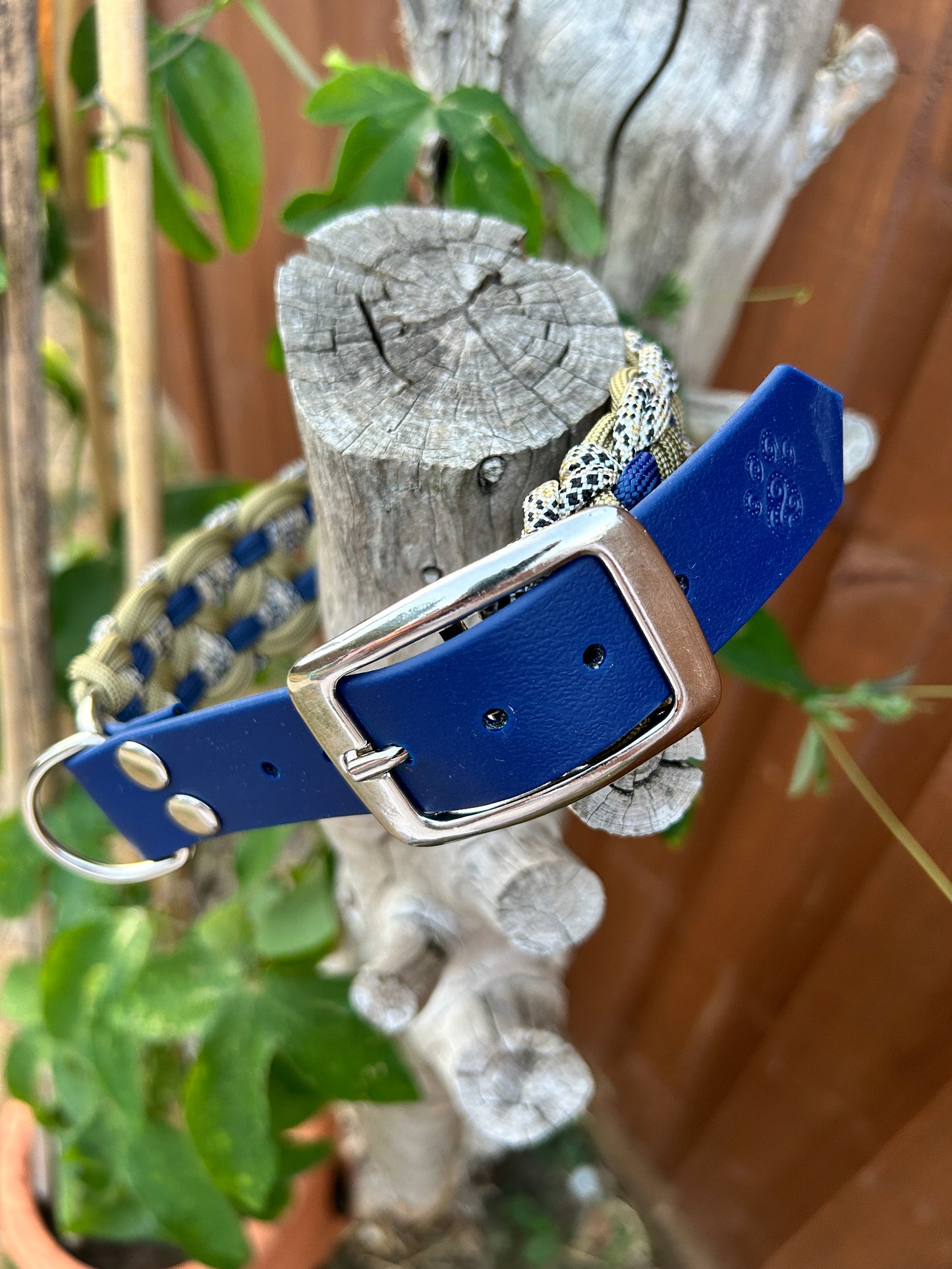 The Swinley Collar - Golden Age
