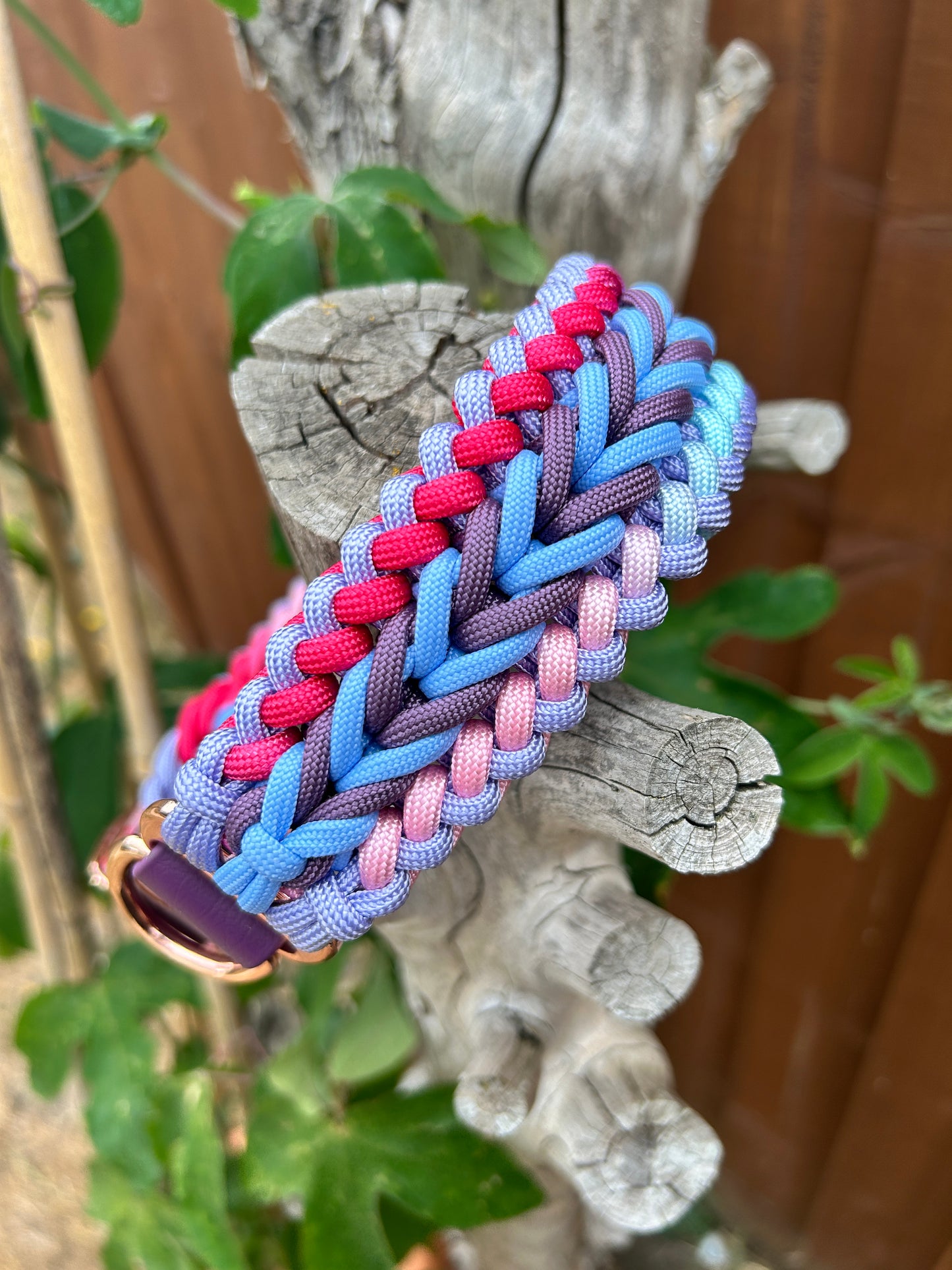 The Barkham Collar - Retro