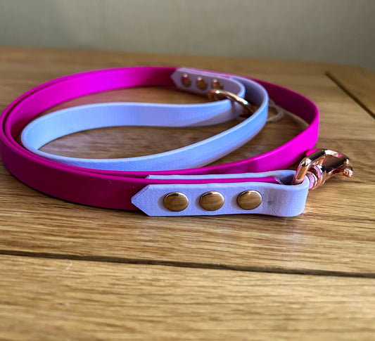 Biothane Colour Block Lead - 16mm Wide