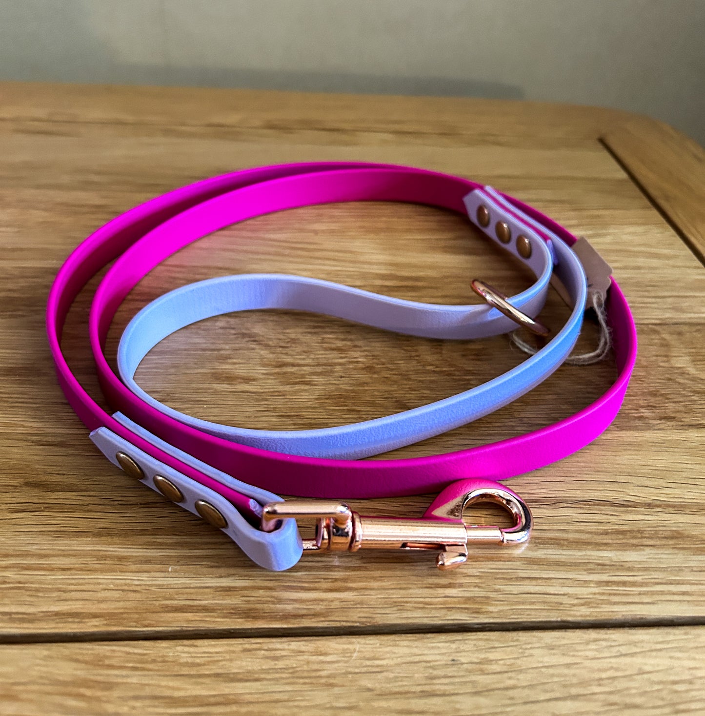 Biothane Colour Block Lead - 16mm Wide