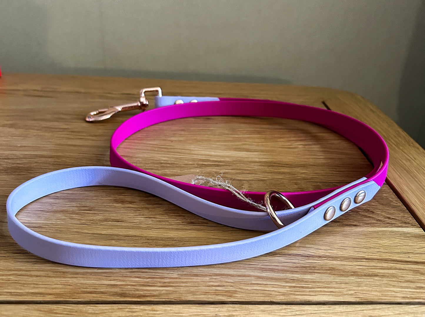 Biothane Colour Block Lead - 16mm Wide