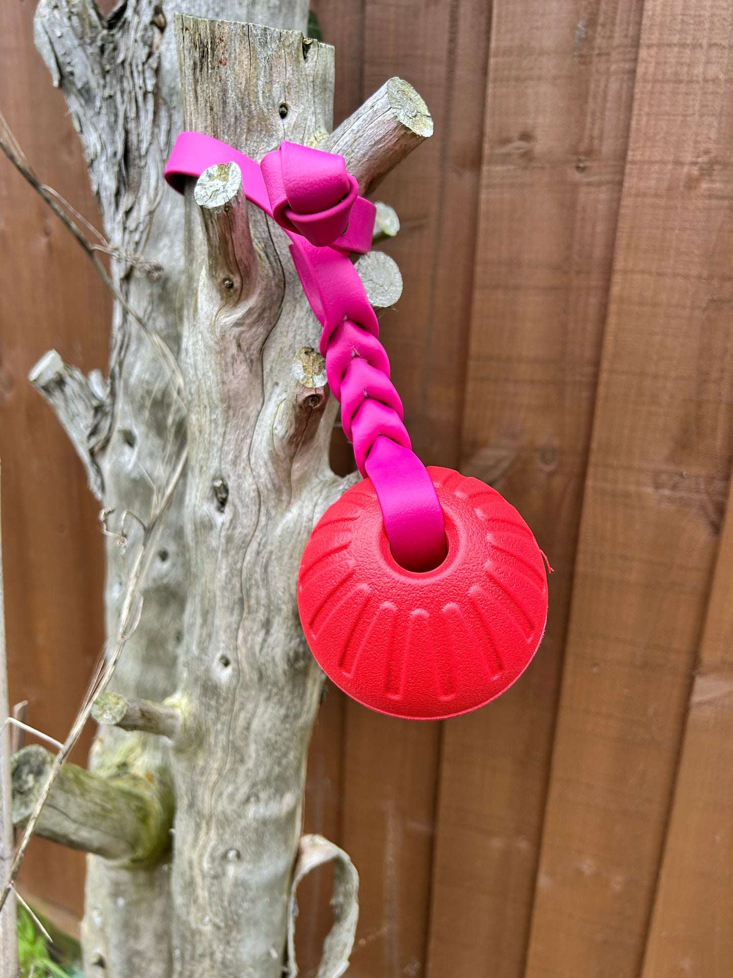 EVA Foam Reward Ball