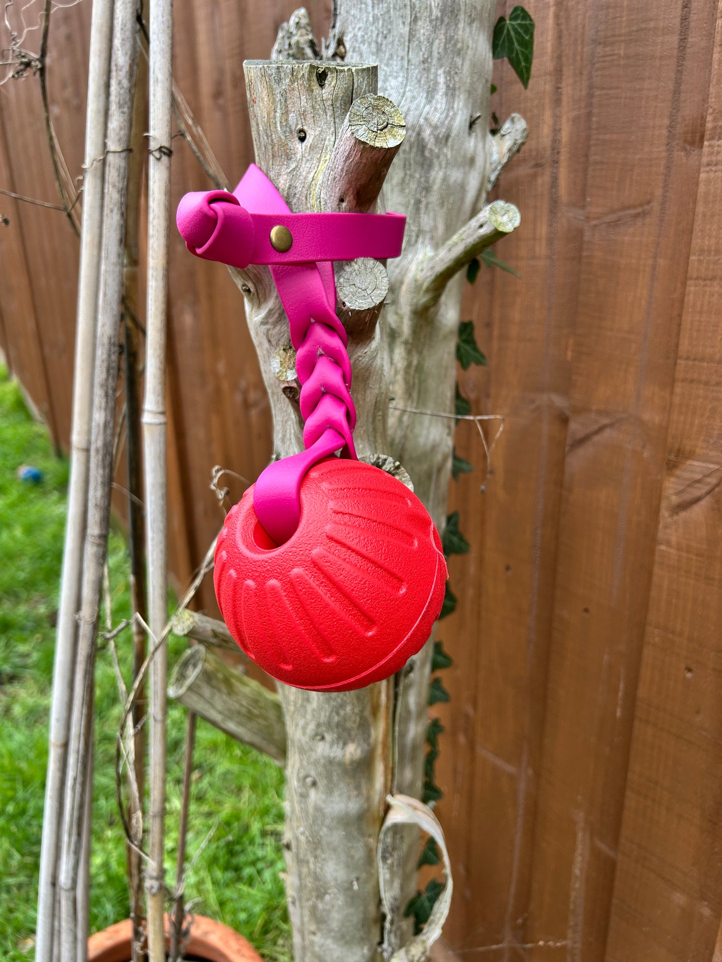 EVA Foam Reward Ball