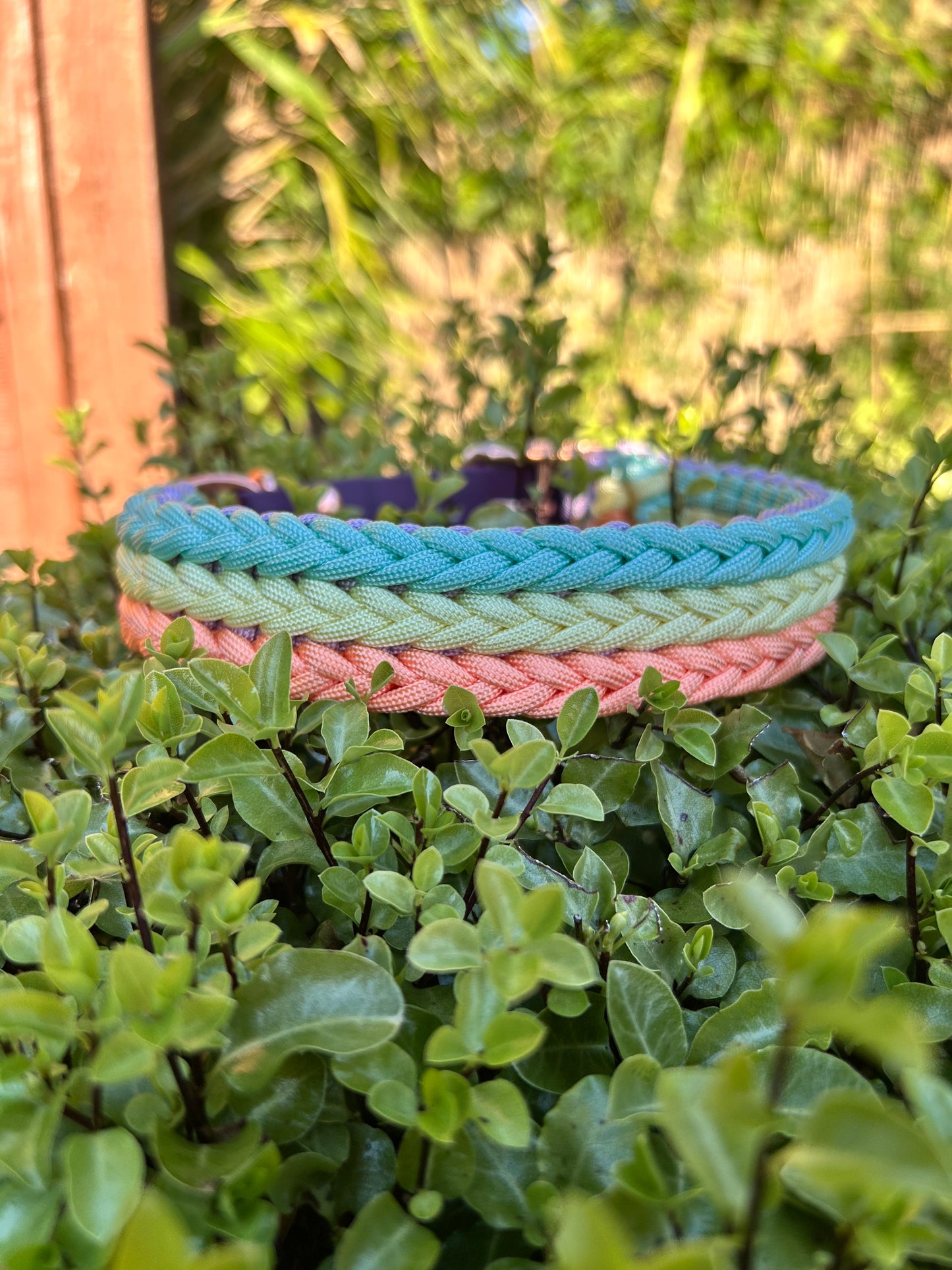 The Dinton Paracord Collar - Custom