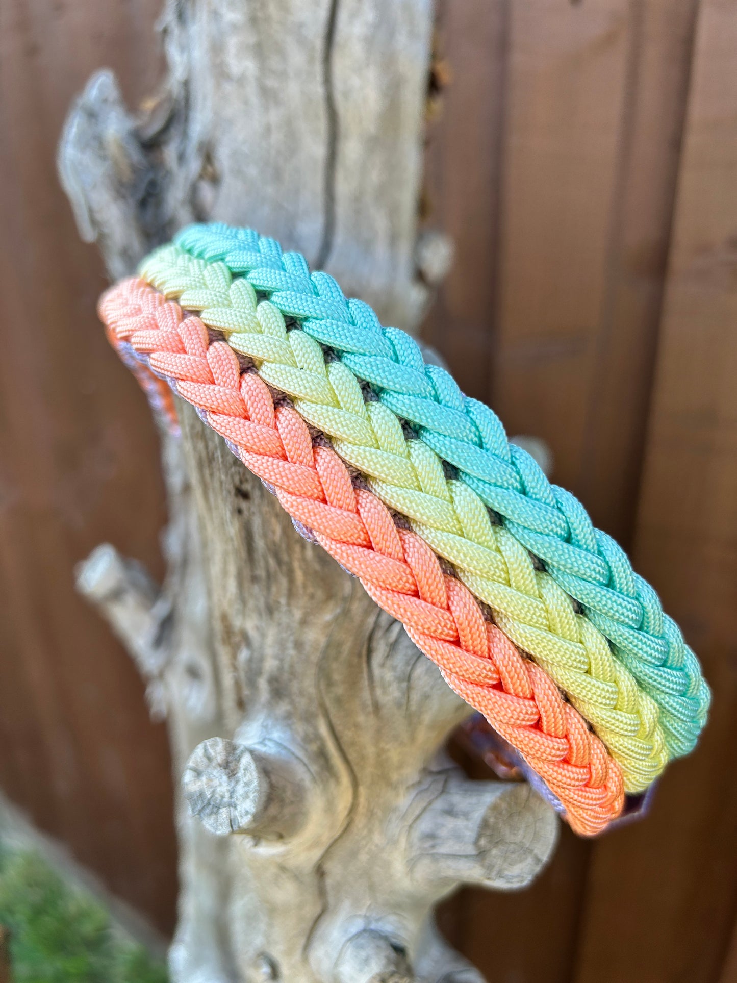 The Dinton Paracord Collar - Custom