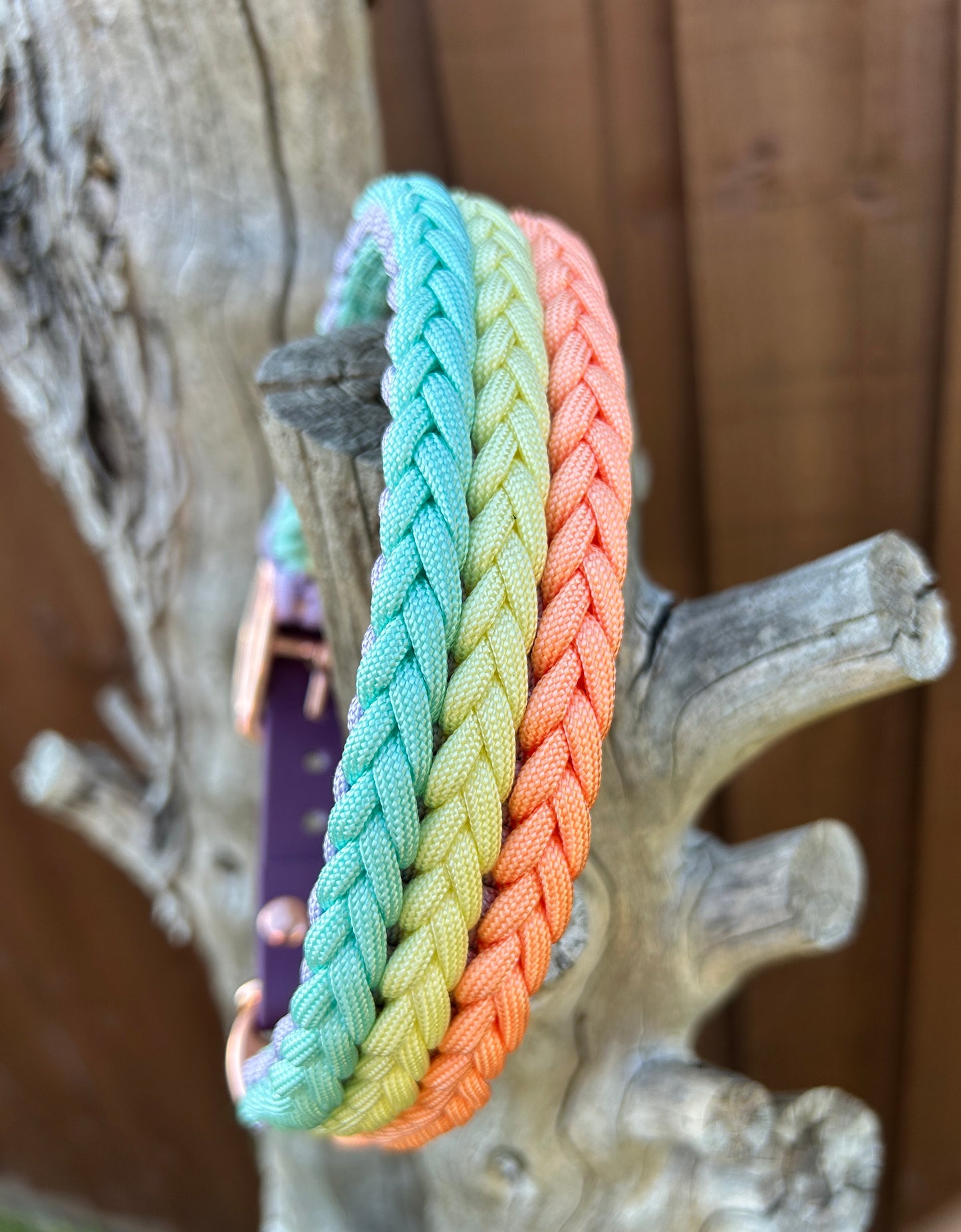 The Dinton Paracord Collar - Custom