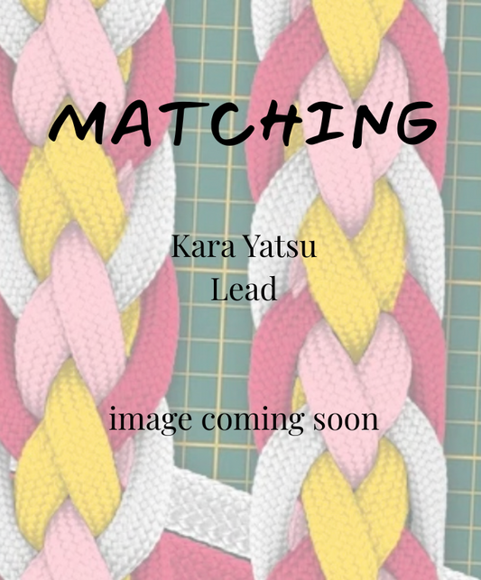 Text 'MATCHING Kara Yatsu Lead image coming soon' over braided yarn with pink, yellow, and white colors.