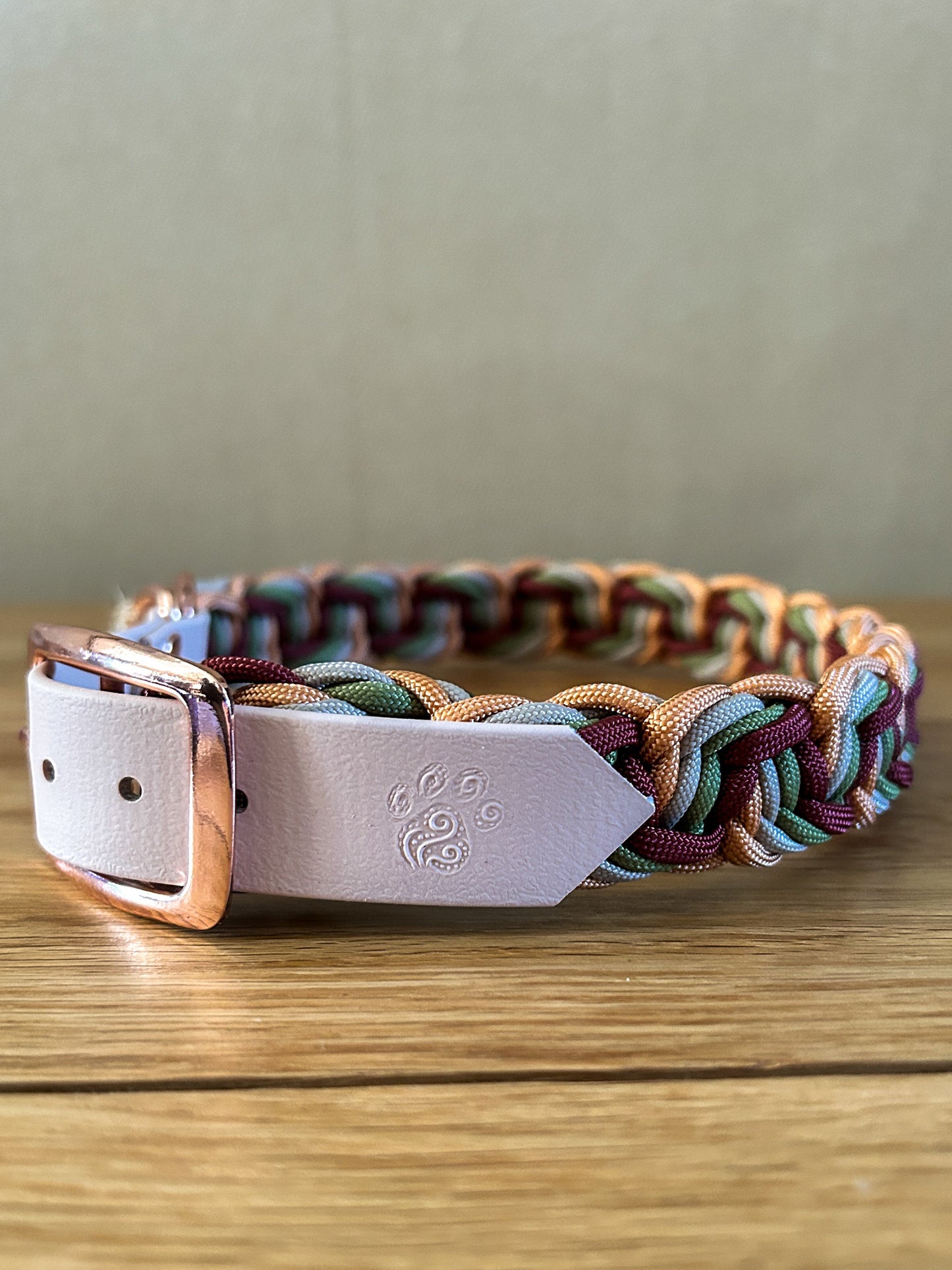 Multicolored braided dog collar with a metallic buckle on a wooden surface.