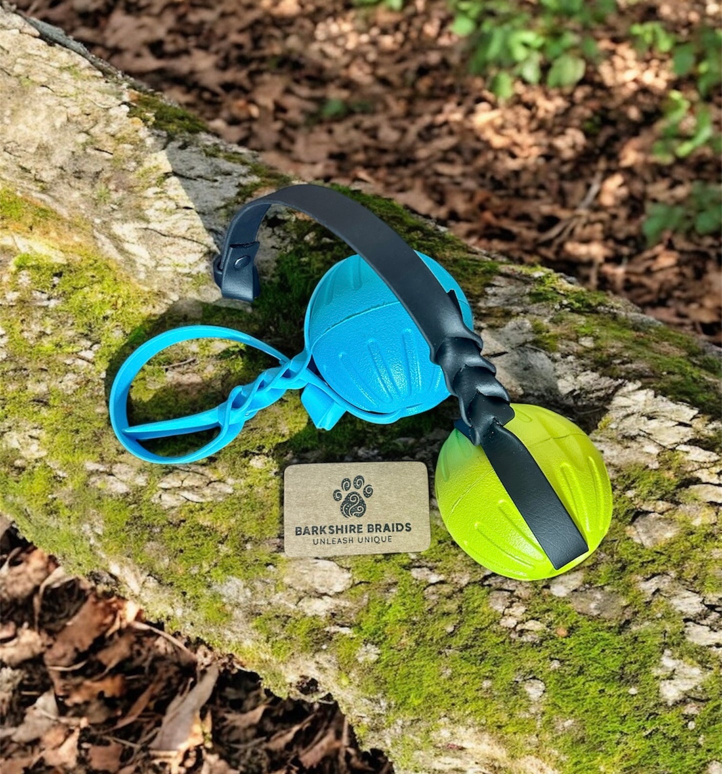 EVA Foam Reward Ball