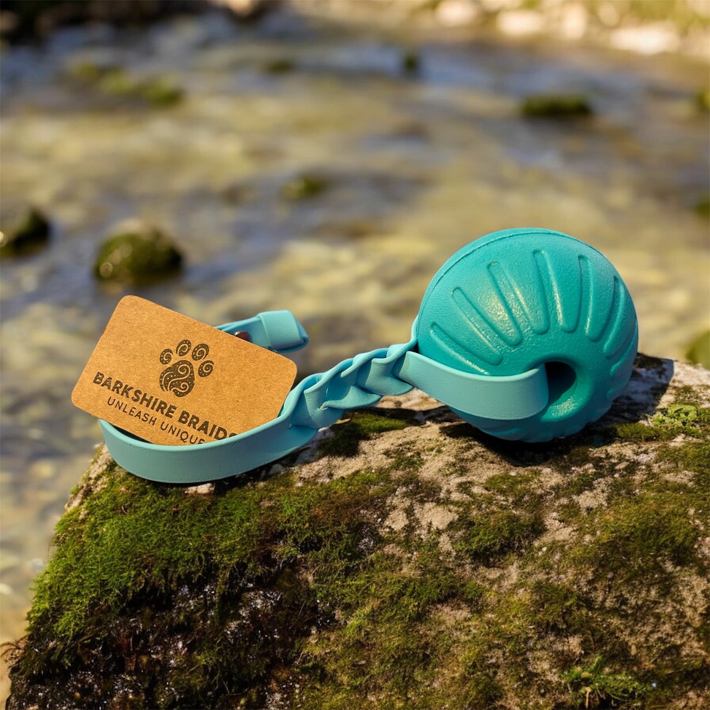 EVA Foam Reward Ball