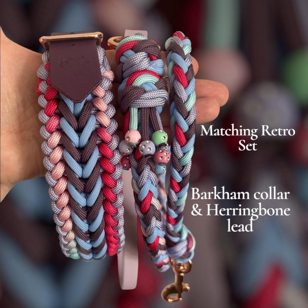 Matching retro dog collar and lead set held by a person, with text indicating brand and product names.
