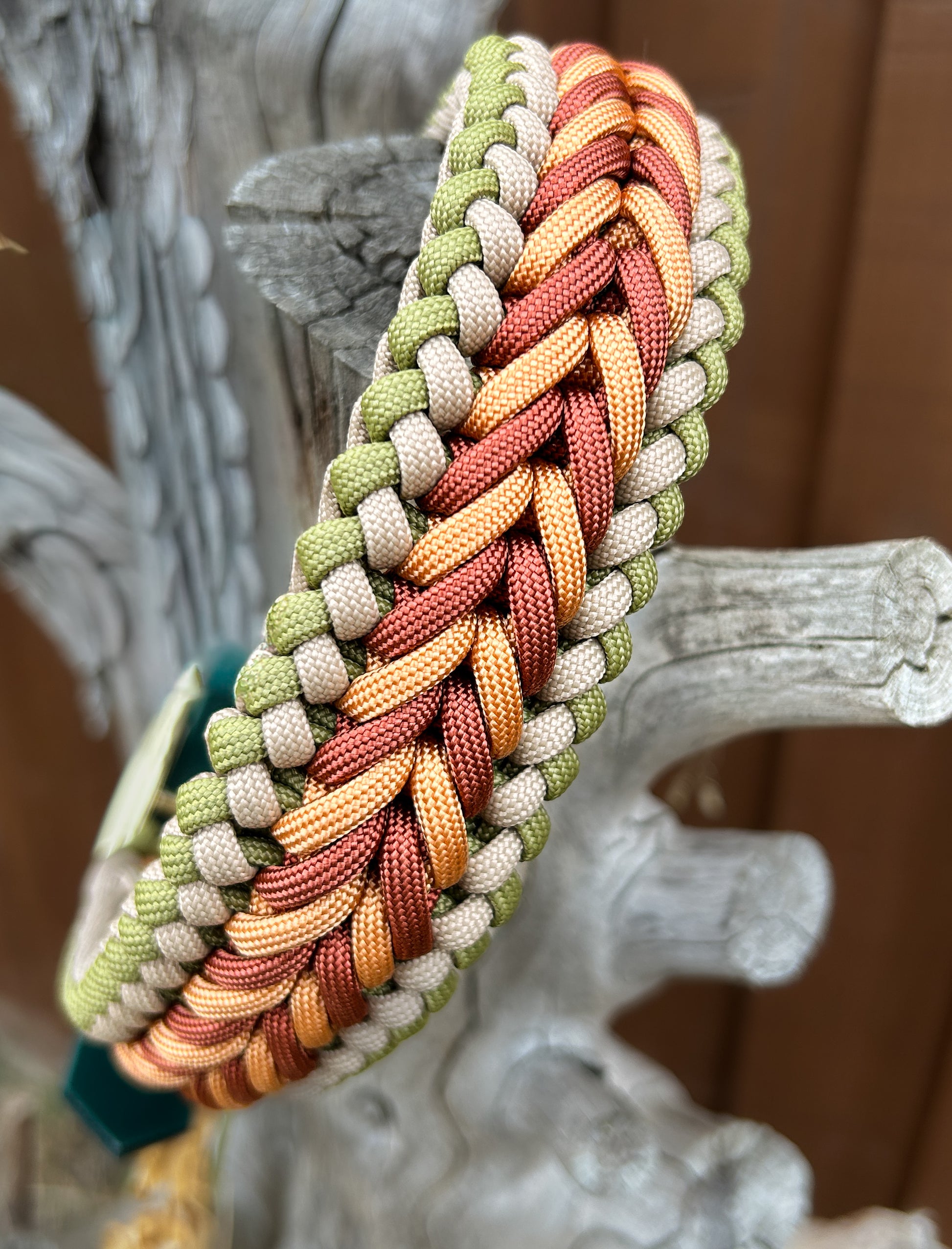 autumn coloured braided paracord dog collar on a tree stump with a blurred background