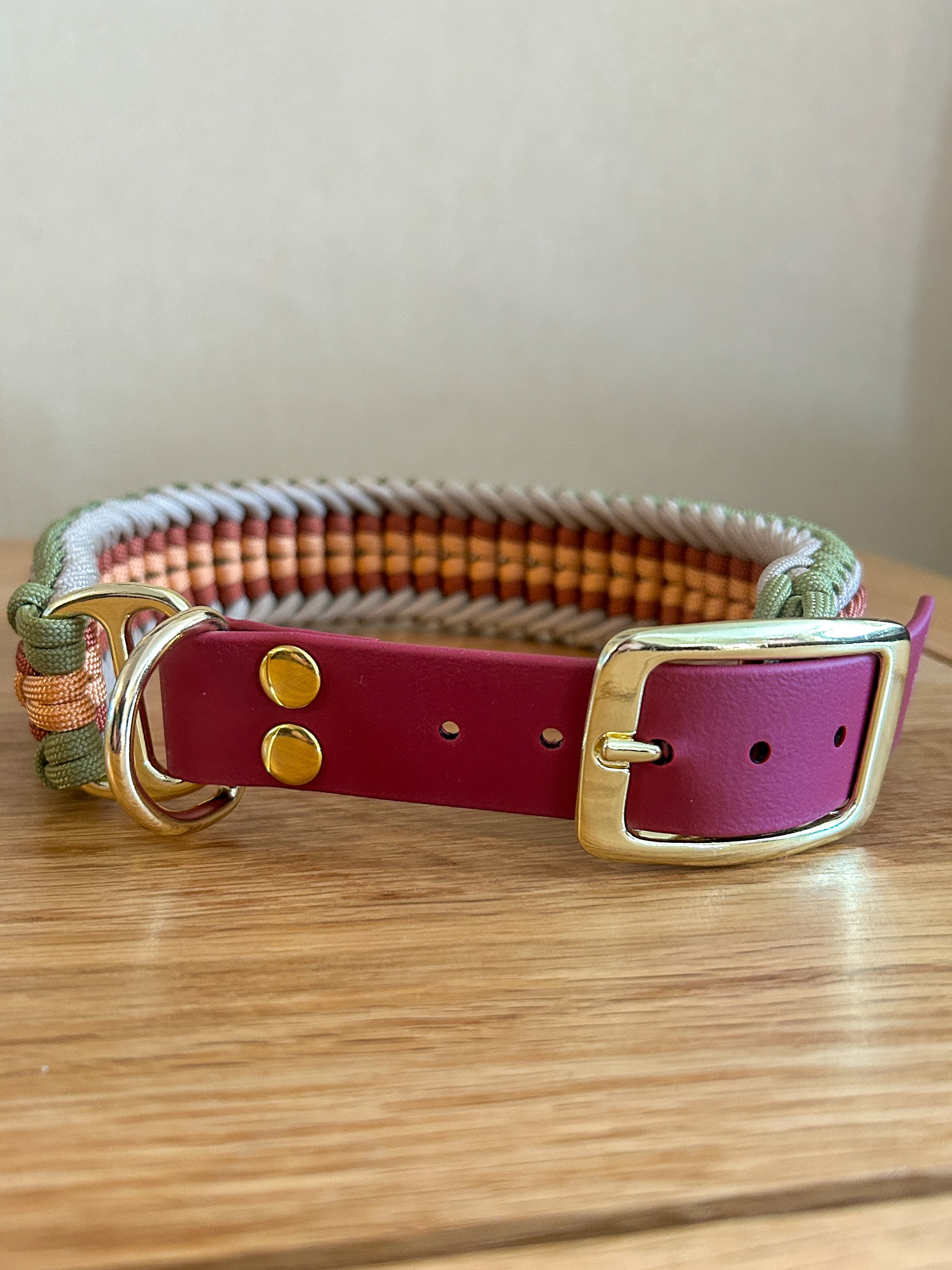 Dog collar with a red band and gold buckle on a wooden surface