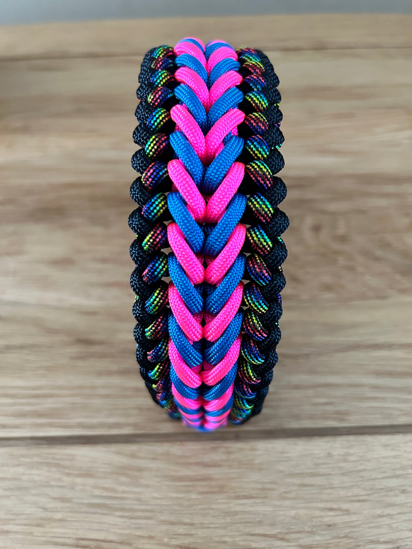paracord dog collar in bright rainbow colours