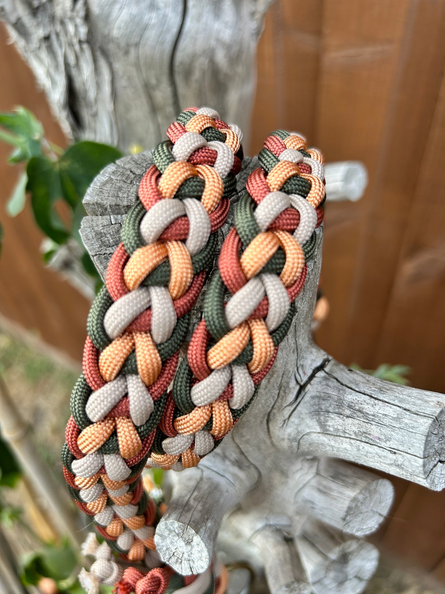 multi coloured kara yatsu braided paracord dog lead on wooden stand