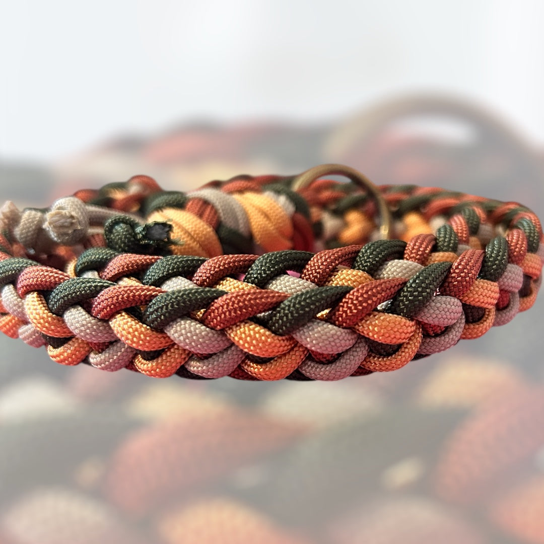 autumnal coloured braided paracord lead on a blurred background