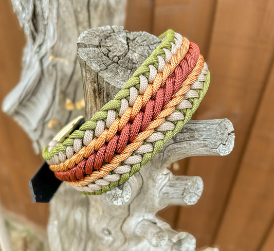 colourful paracord collar on a tree stump